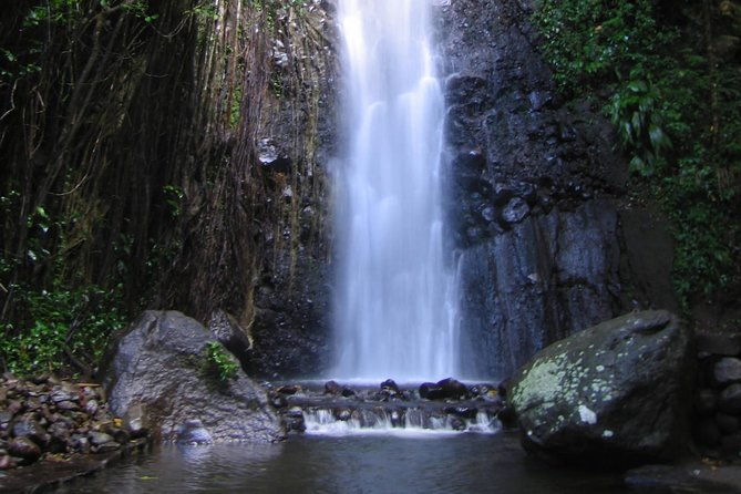 dark-view-falls-tour-and-beach