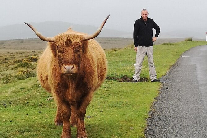 dartmoor-tour-2