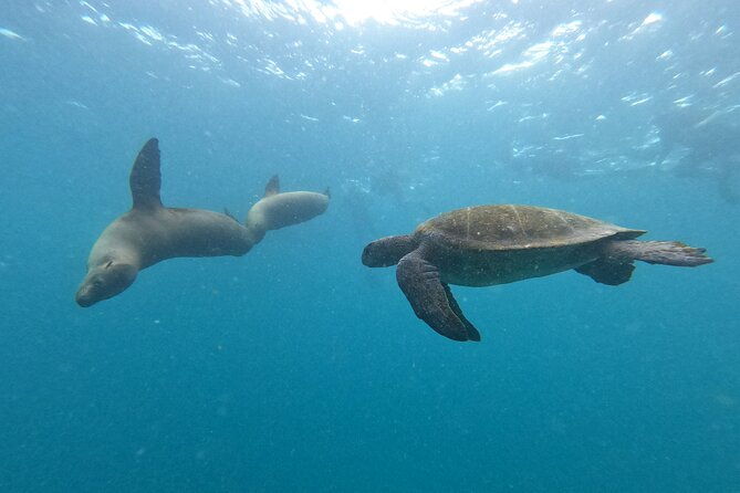 day-tour-to-san-cristobal-island-with-private-land-tour-and-snorkeling