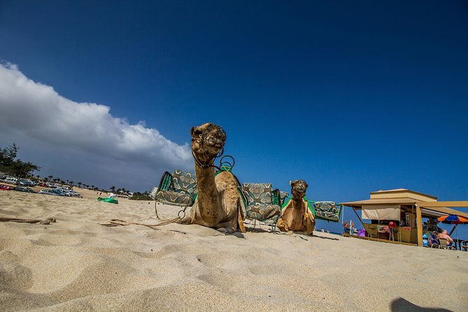 day-trip-to-fuerteventura-from-lanzarote-2