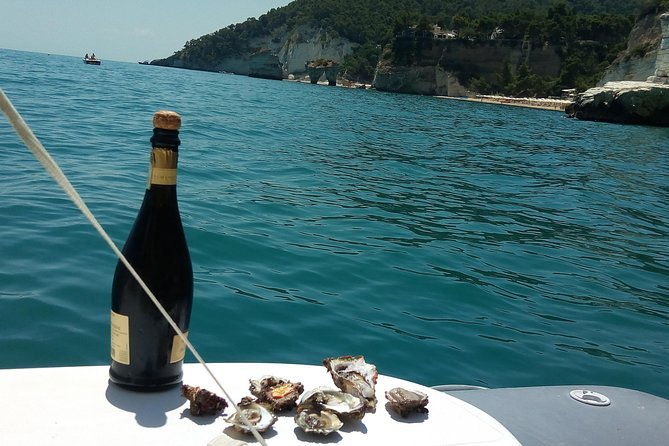 desiree-private-boat-tour-with-skipper-2