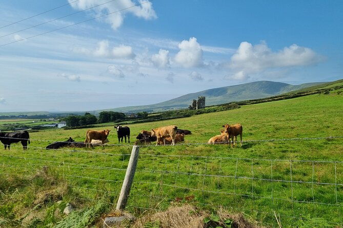 dingle-hour-slea-head-drive-tour-4hr-personal-chauffeur-guide