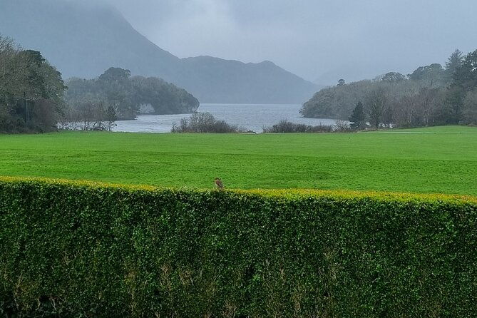 dingle-peninsula-private-minibus-day-tour-of-the-fields-of-gold