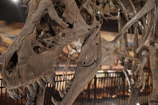 dinosaur-world-theme-park