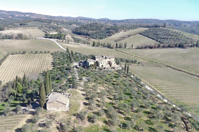 discover-chianti-classico-wines-diwine-experience