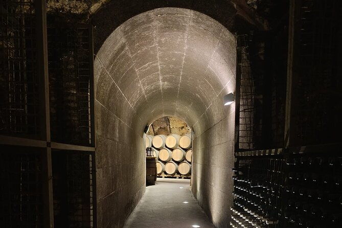 discover-rioja-3-wineries-exclusive-tastings-await