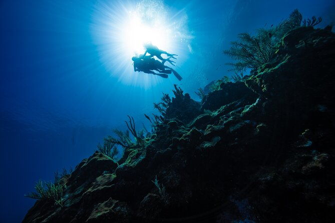 discover-scuba-diving-in-roatan-at-upachaya-with-private-transfer