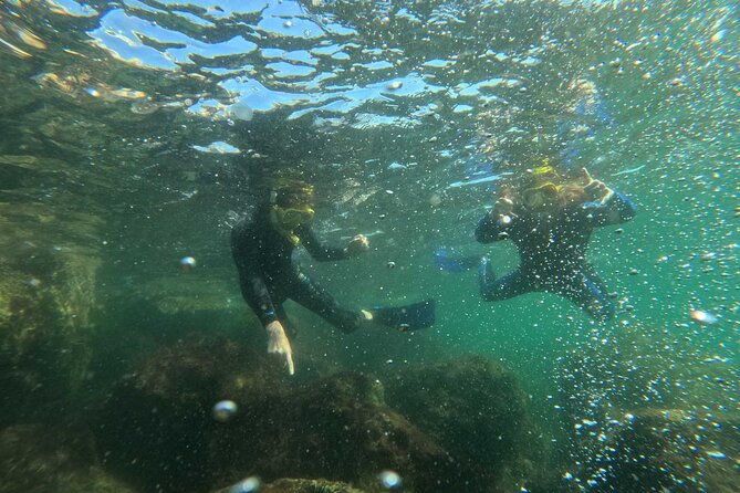 discover-snorkeling-tour-in-panama-city