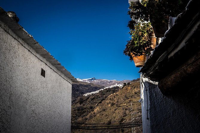 discovering-las-alpujarras-departures-from-malaga-semi-private