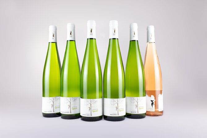 discovery-vineyard