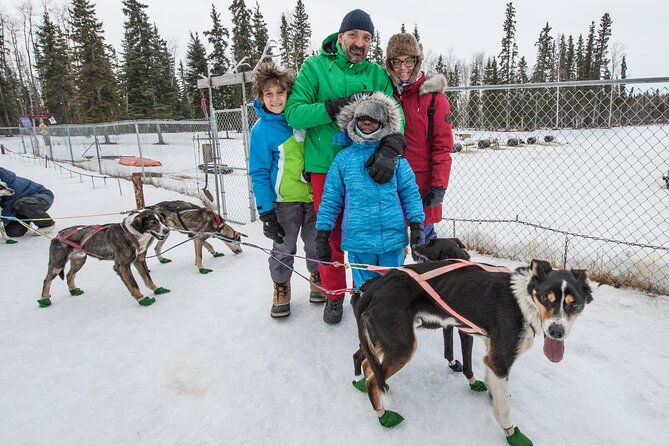 dog-sledding-subarctic-wilderness-tour