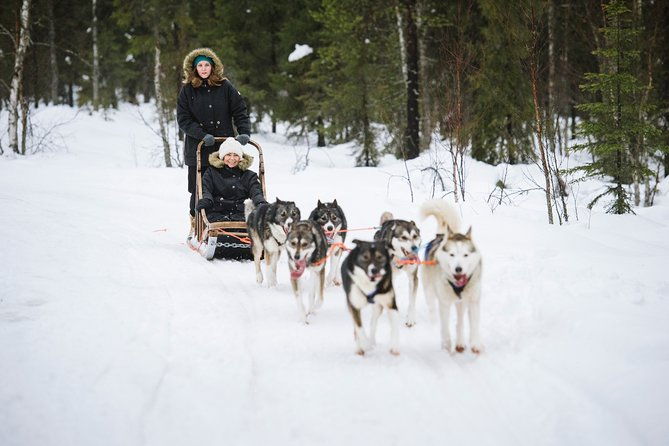 dogsled-adventure-kiruna