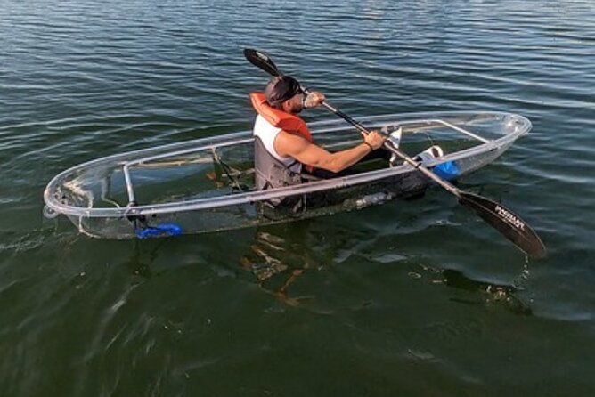 dolphin-and-manatee-clear-kayak-or-paddleboard-island-hop-tour