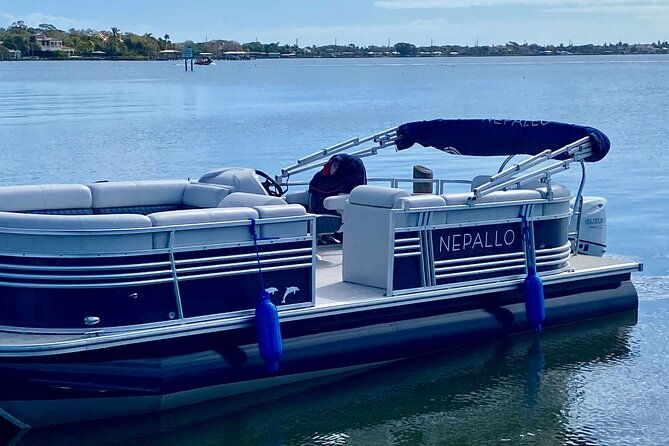 dolphin-and-manatee-river-cruise-melbourne-fl-1030