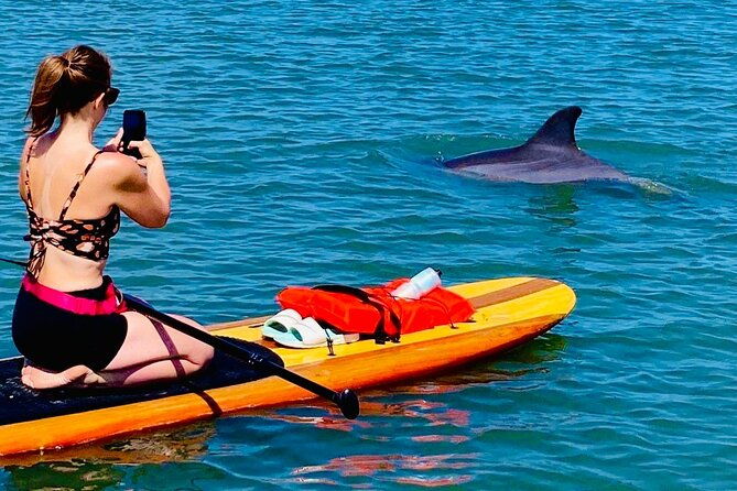 dolphin-manatee-and-sea-turtle-kayak-adventure-2