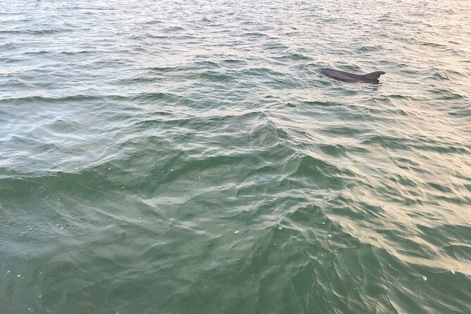 dolphin-tiki-cruise-around-fort-myers-beach
