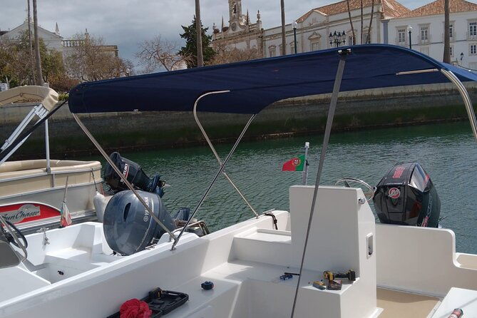 dolphin-watching-and-wildlife-from-faro