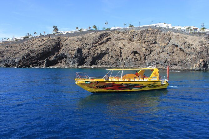 dolphin-watching-cruise-to-lobos-island