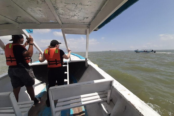 dolphin-watching-in-puerto-el-morro-from-guayaquil