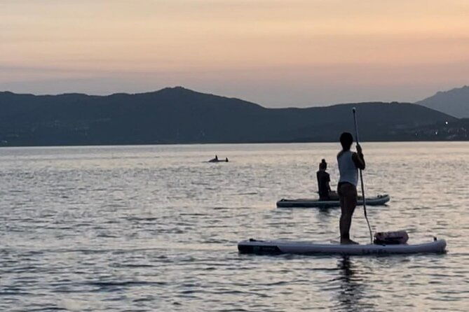 dolphin-watching-sup-tour-with-golfo-aranci-aperitif