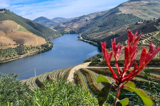 douro-valley-private-tour-winery-boat-viewpoint-2