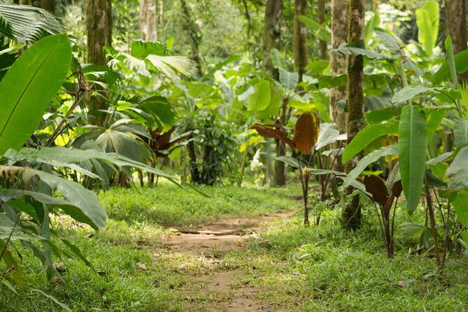 drakebay-over-night-tour-rioagujitasecojungle