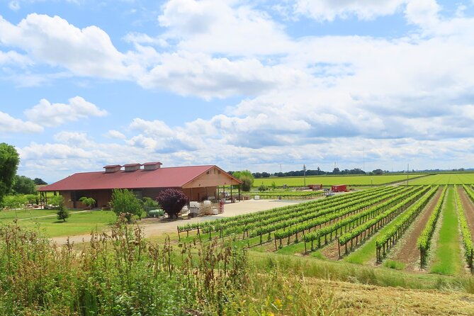 driving-in-deltas-wine-country-private-self-guided-audio-tour