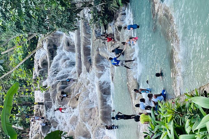 dunns-river-falls-with-zip-line-half-day-tour