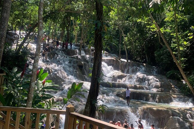dunns-river-falls-zipline-adventure-from-kingston