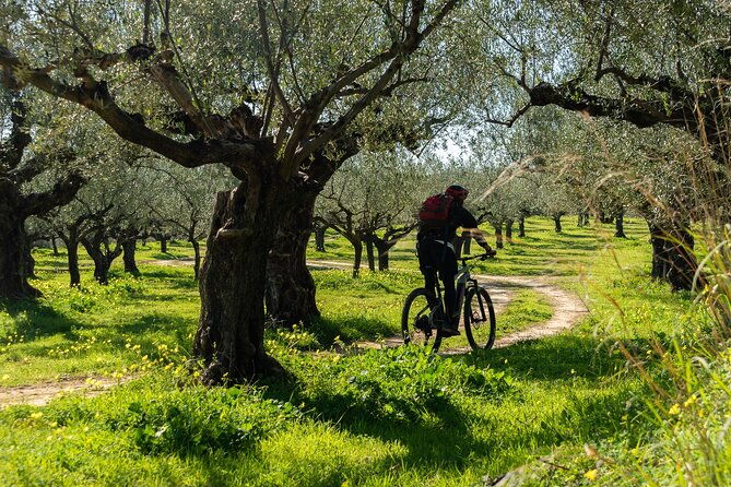 e-bike-kalamata-olive-routes