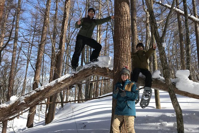 %e3%80%905-minutes-from-water-ic%e3%80%91-snow-trekking-half-day-tour-to-enjoy-japanese-snowscapes