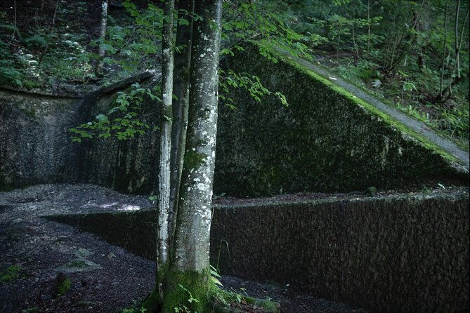 eagles-nest-berchtesgaden-obersalzberg-private-half-day-wwii-historical-tour