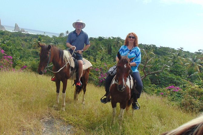 east-coast-horseback-riding-waterfall-excursion