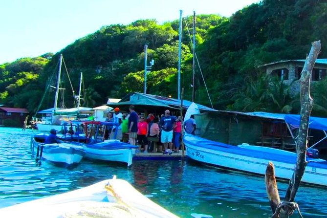 east-sightseeing-mangrove-tunnel-snorkel-hole-in-the-wall-with-transfer