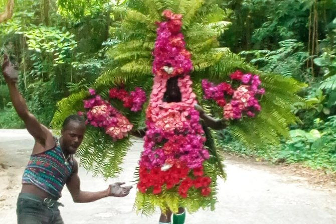 eco-tour-konoko-falls-fern-gully-from-ocho-rios