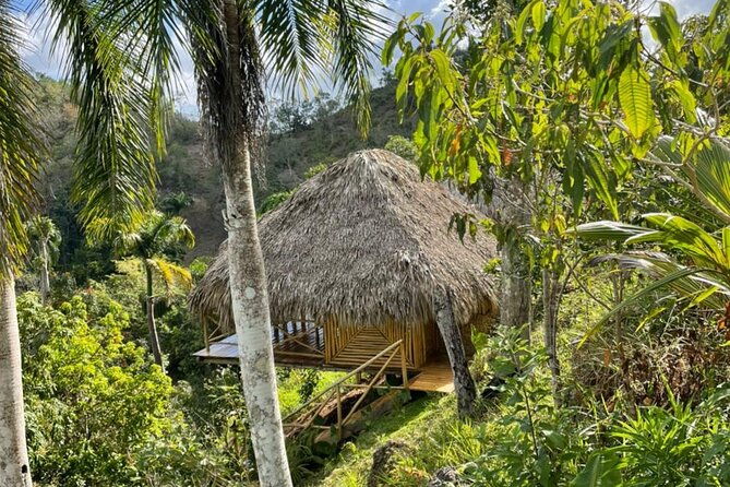 ecolodge-overnight-experience-el-limon-waterfalls-samana-dr