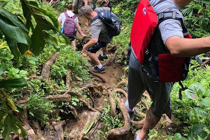 el-yunque-rainforest-tour-with-transport-from-san-juan-area