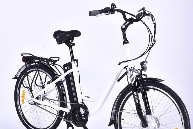 electric-bike-rental-with-phone-holder-and-self-guided-tour-2