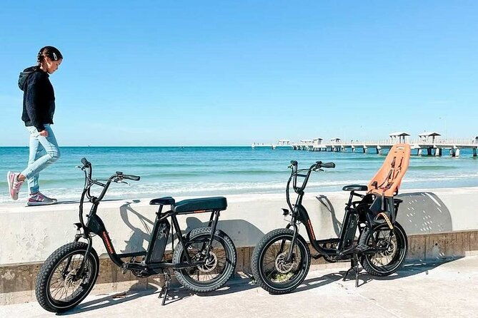 electric-bike-wildlife-history-tour-along-fort-de-sotos-beaches