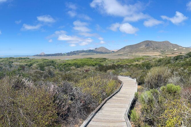 elfin-forest-nature-tour-with-local-sweet-and-savory-tasting