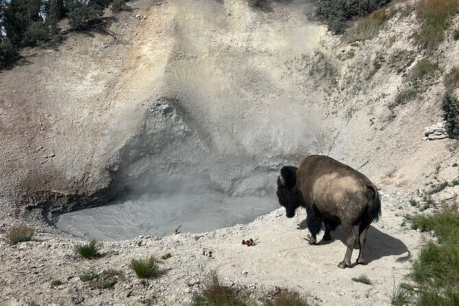 epic-yellowstone-private-tour