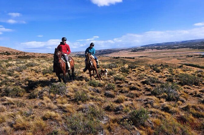 estancia-from-the-commune-of-laguna-blanca
