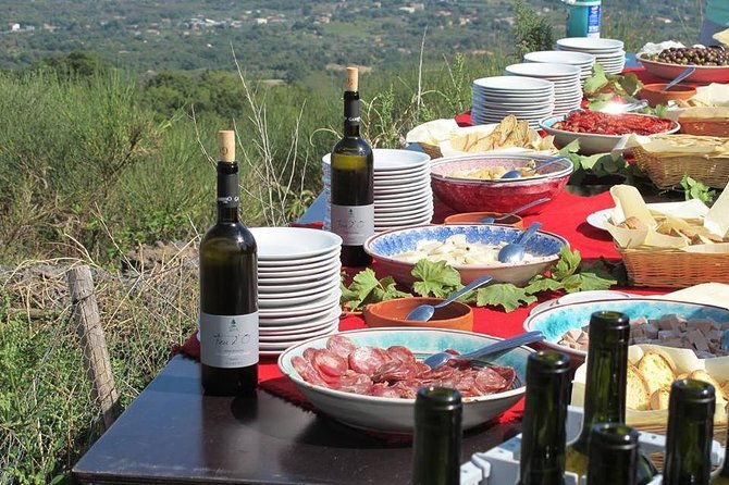 etna-private-tour-from-messina-cruise-terminal-lunch-at-winery