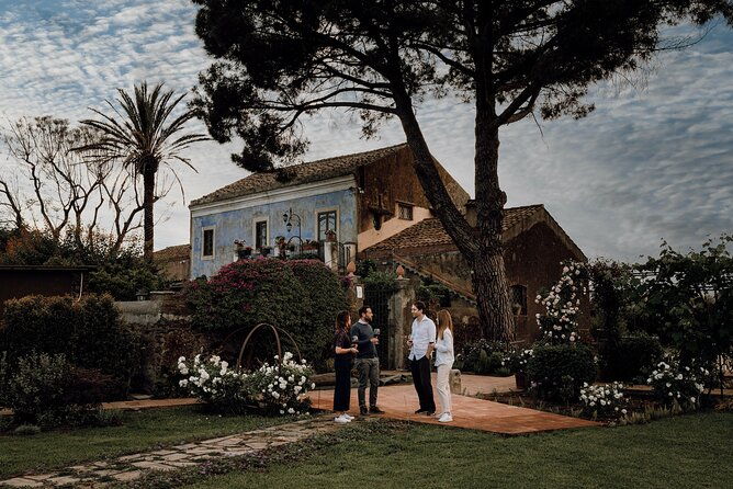 etna-urban-winery-tasting-with-street-food-platter-and-vineyard