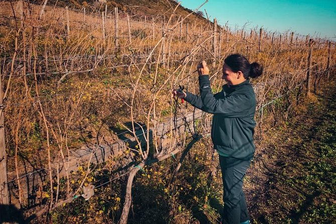 etna-wine-and-food-volcanic-day-tour-private-experience