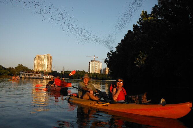 evening-bat-watching-kayak-tour