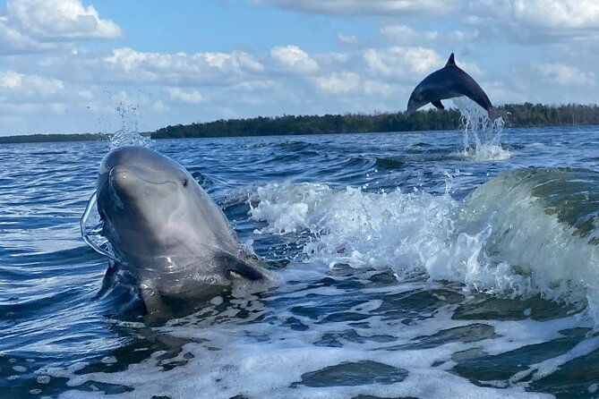 everglades-national-park-small-group-guided-boating-and-walking-expedition-2