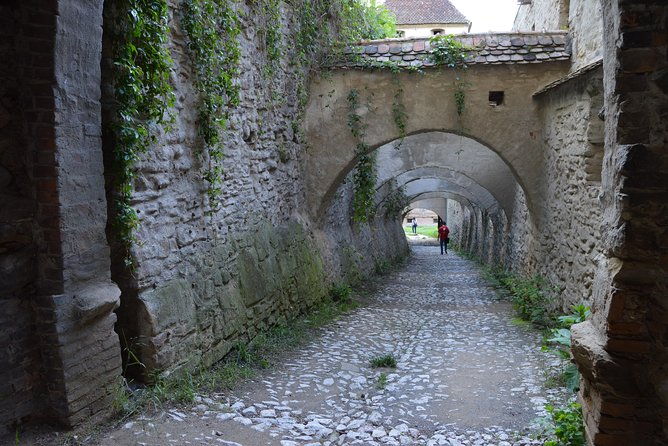 exclusive-tour-sighisoara-medias-and-biertan-tour-from-sibiu-2