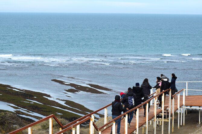 excursion-to-the-valdes-peninsula-from-puerto-madryn