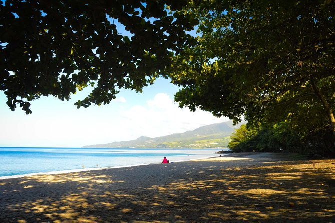 excursions-in-the-north-or-in-the-south-of-martinique